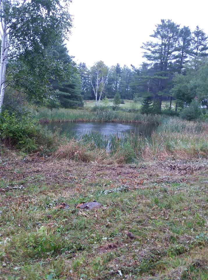Cross Road Wentworth, NH 03282 - Photo 7 of 7