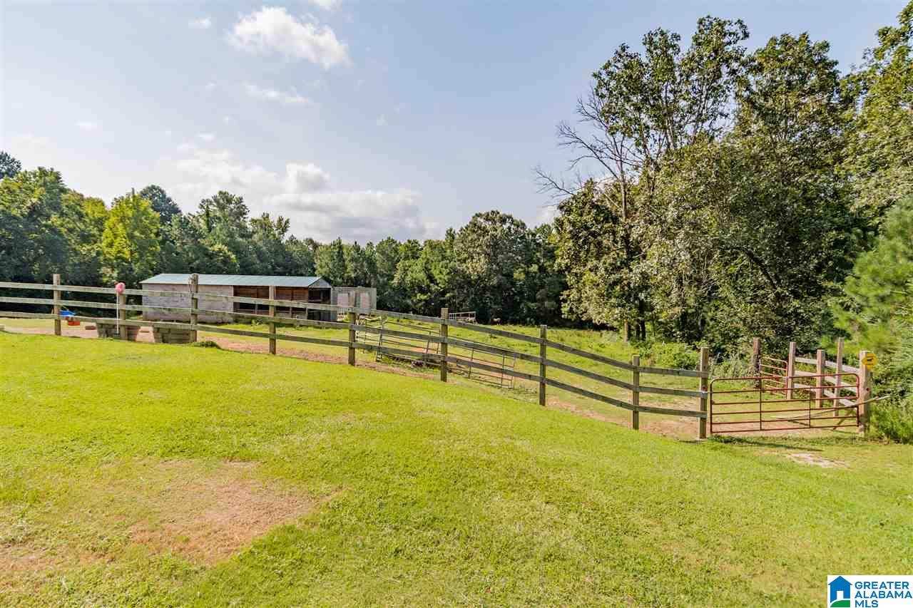 950 Deer Trace Road Pell City, AL 35125 - Photo 36 of 50