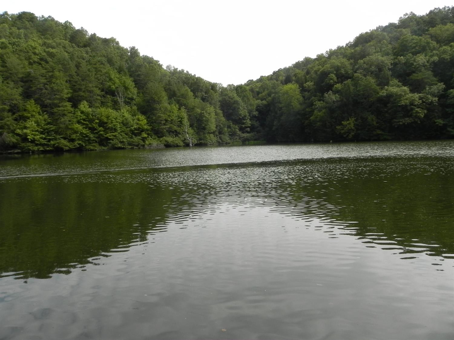 550 Lake Road London, KY 40741 - Photo 6 of 60 Photo 7