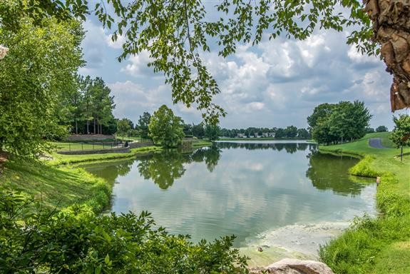 514 Bugler Road Mount Juliet, TN 37122 - Photo 45 of 45 a view of a lake with a large trees