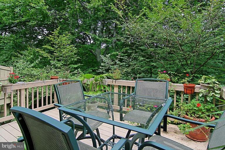 2128 21st Road North Arlington, VA 22201 - Photo 11 of 30 Deck