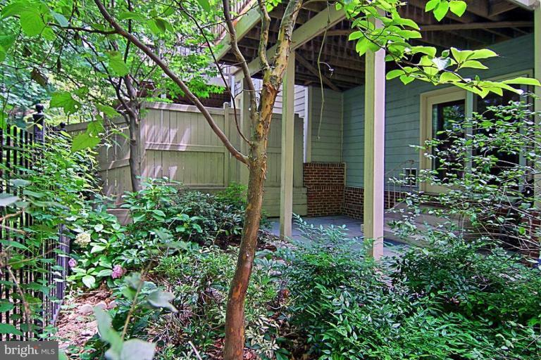 2128 21st Road North Arlington, VA 22201 - Photo 14 of 30 Patio
