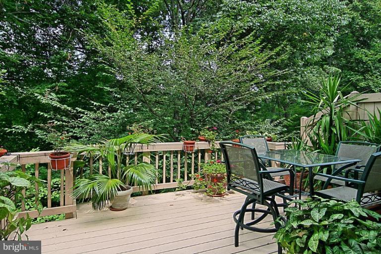 2128 21st Road North Arlington, VA 22201 - Photo 10 of 30 Deck - View from