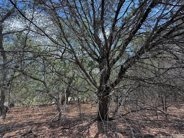 $110,000 | 7820 Ventura Boulevard, Selma, TX 78154