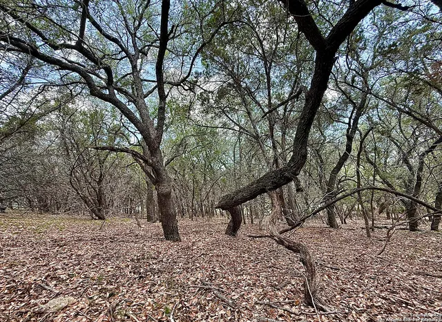 $110,000 | 7820 Ventura Boulevard, Selma, TX 78154