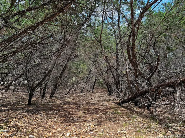 $110,000 | 7820 Ventura Boulevard, Selma, TX 78154