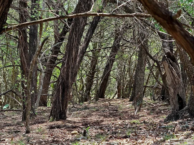 $110,000 | 7820 Ventura Boulevard, Selma, TX 78154