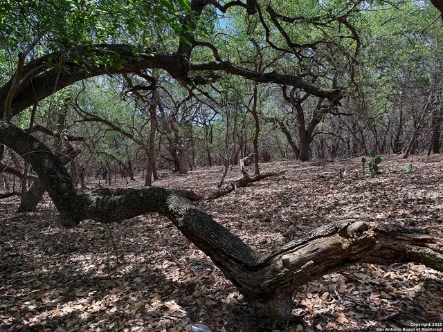 $110,000 | 7820 Ventura Boulevard, Selma, TX 78154