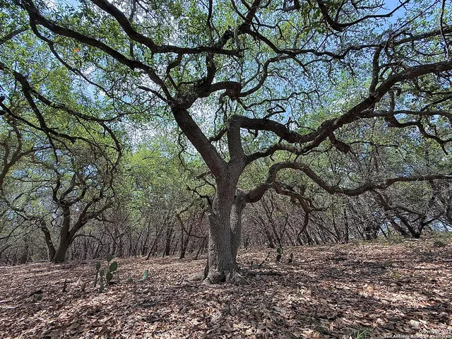 $110,000 | 7820 Ventura Boulevard, Selma, TX 78154