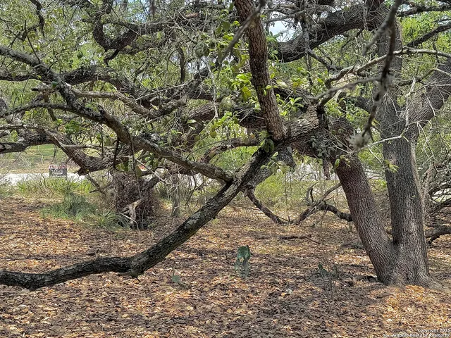 $110,000 | 7820 Ventura Boulevard, Selma, TX 78154