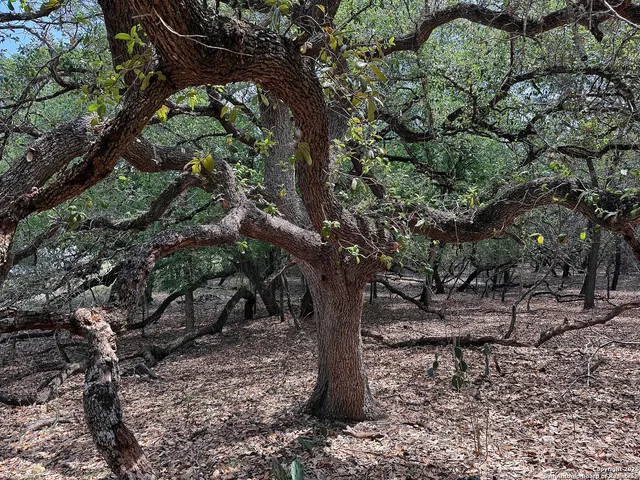 $110,000 | 7820 Ventura Boulevard, Selma, TX 78154