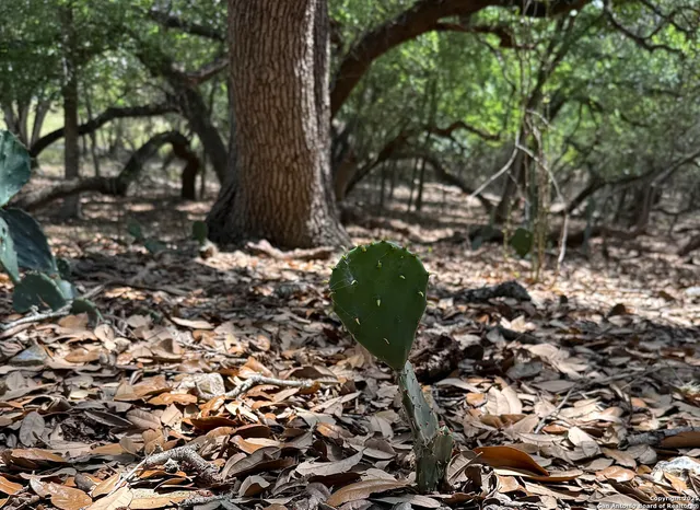 $110,000 | 7820 Ventura Boulevard, Selma, TX 78154