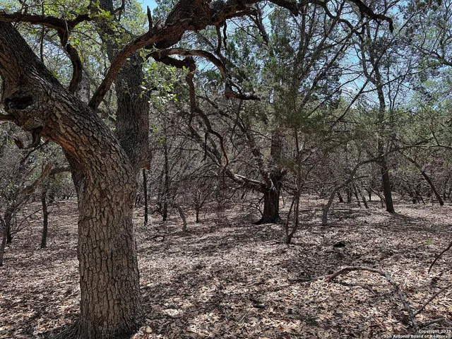 $110,000 | 7820 Ventura Boulevard, Selma, TX 78154