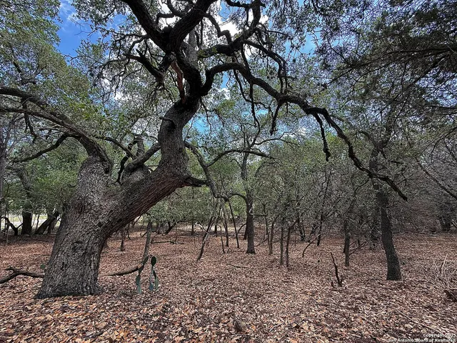 $110,000 | 7820 Ventura Boulevard, Selma, TX 78154