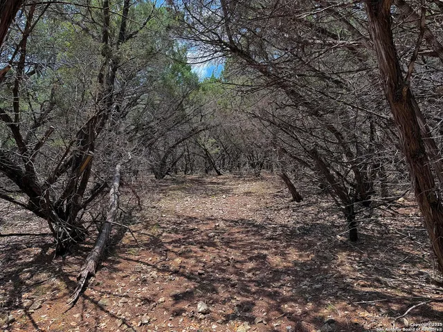 $110,000 | 7820 Ventura Boulevard, Selma, TX 78154