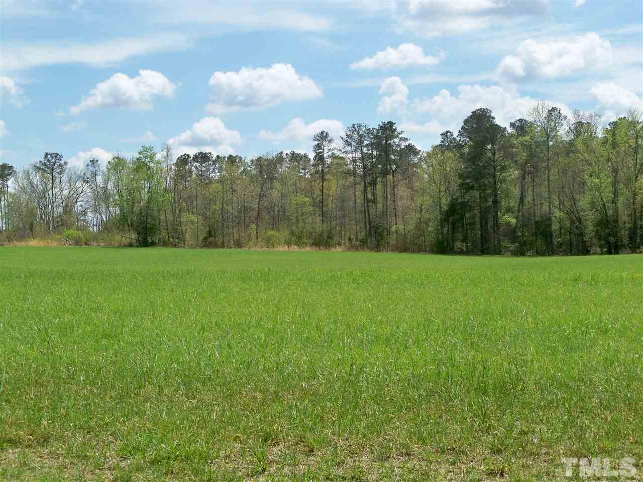 0 Johnson Town Road Zebulon, NC 27597 - Photo 3 of 7 Gallery Image 3