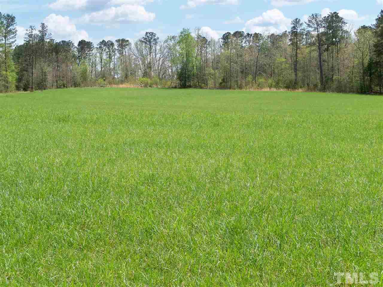 0 Johnson Town Road Zebulon, NC 27597 - Photo 5 of 7 Gallery Image 5