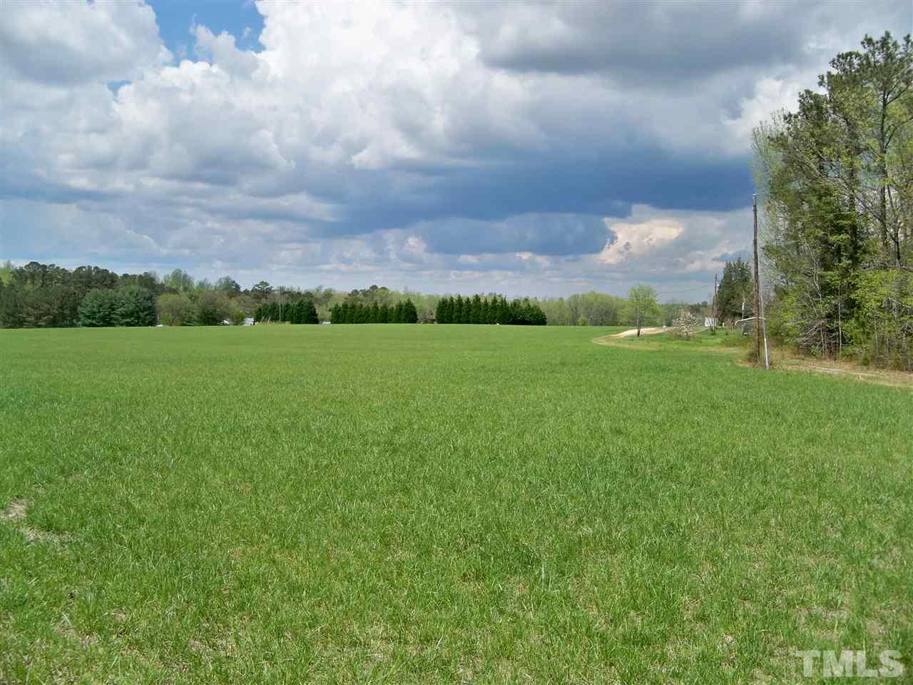 0 Johnson Town Road Zebulon, NC 27597 - Photo 7 of 7 Gallery Image 7