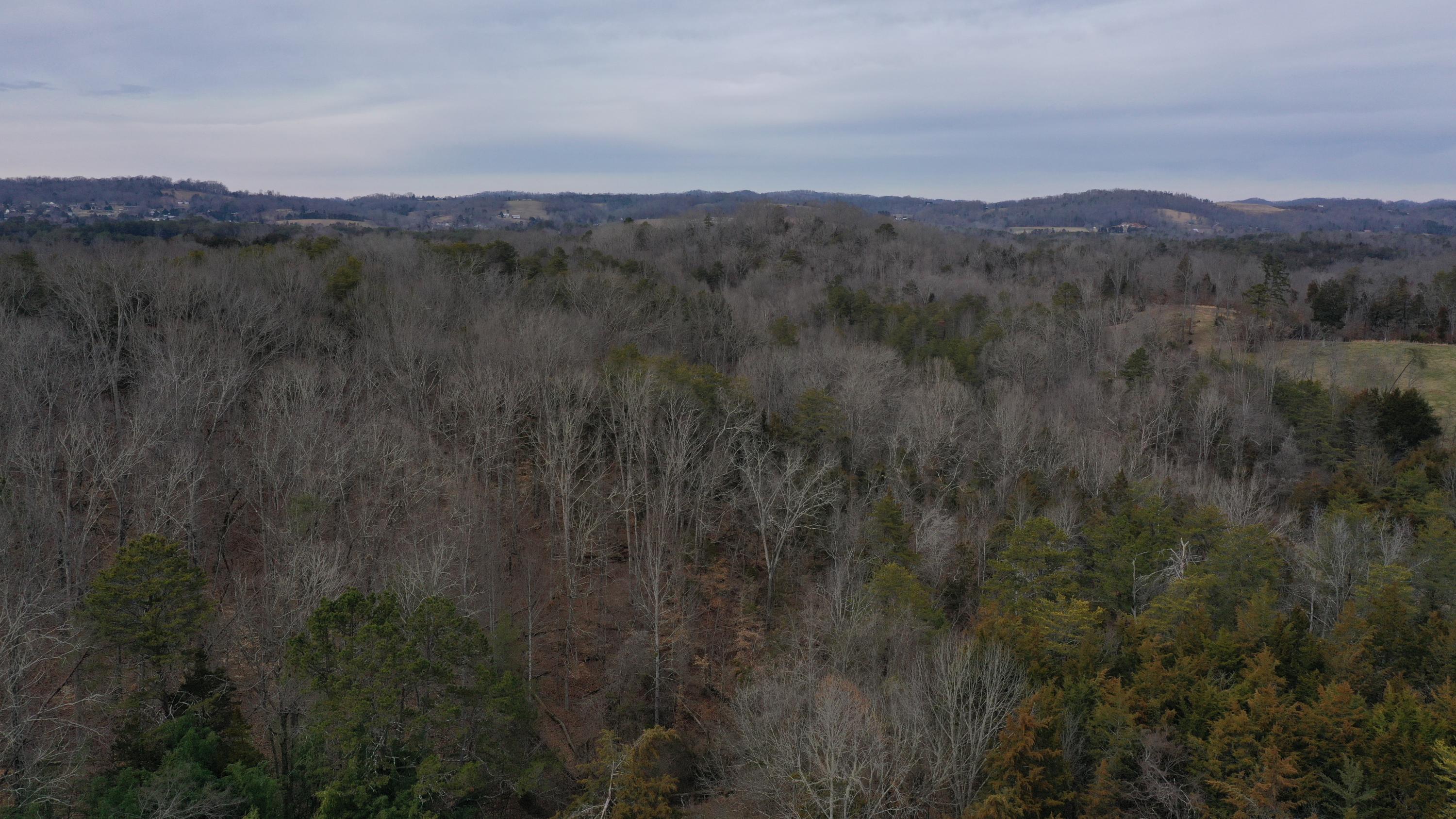 8209 Corryton Luttrell Road Corryton, TN 37721 - Photo 16 of 21 8209 Corryton Luttrell Rd Corryton