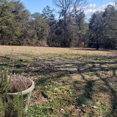 8209 Corryton Luttrell Road Corryton, TN 37721 - Photo 21 of 21 8209 Corryton Luttrell Rd Corryton