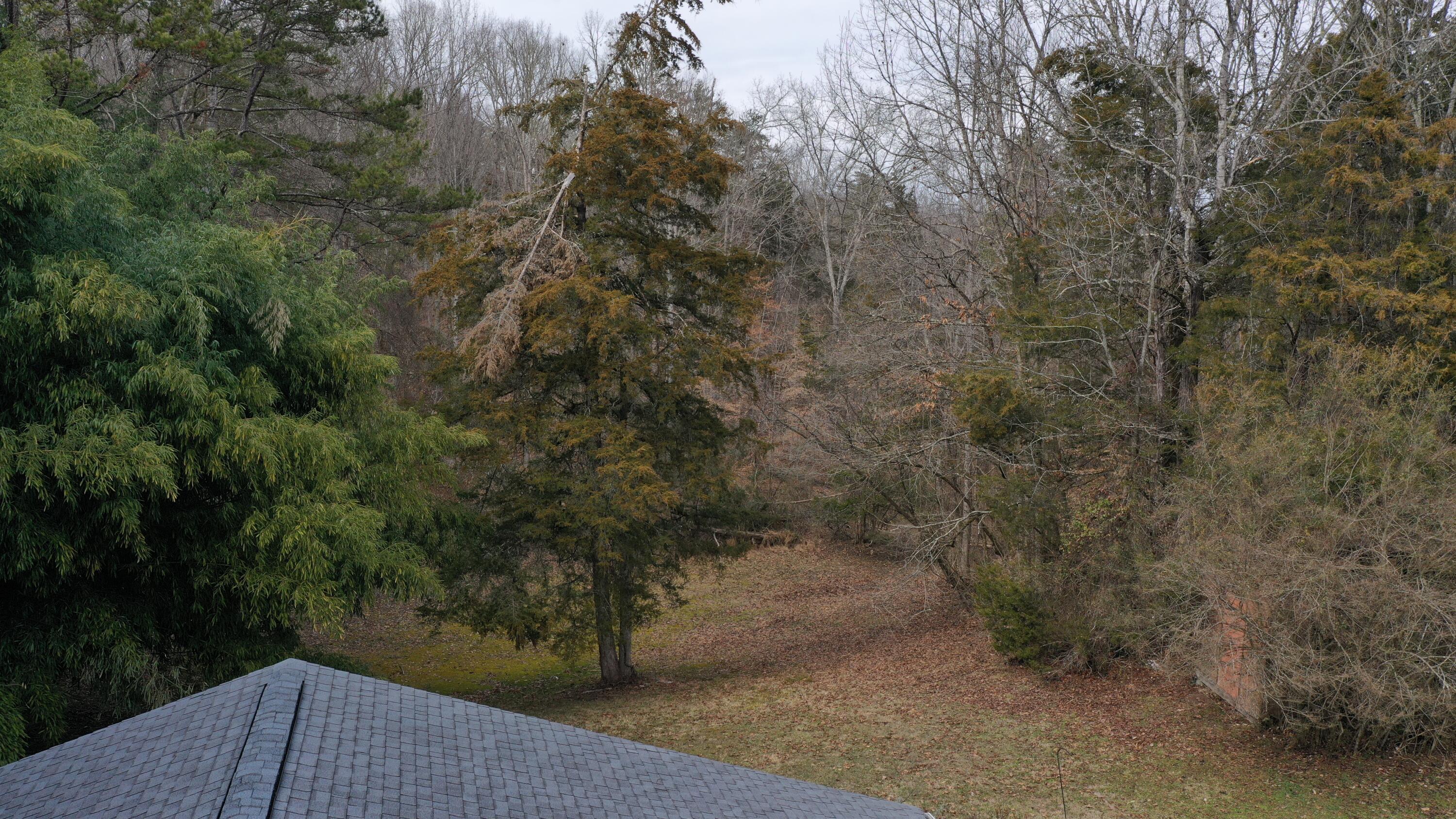 8209 Corryton Luttrell Road Corryton, TN 37721 - Photo 7 of 21 8209 Corryton Luttrell Rd Corryton
