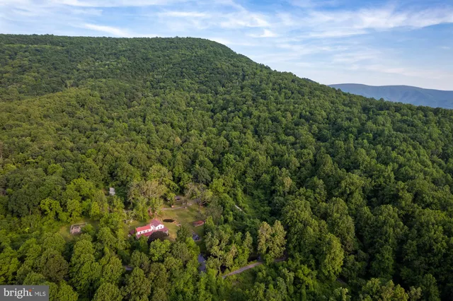 a view of a big yard with plants and mountain view