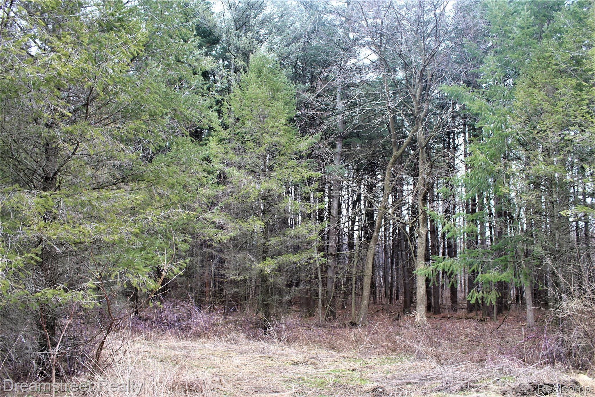 13625 Macon Road Saline, MI 48176 - Photo 8 of 49 IMG_5912.JPG