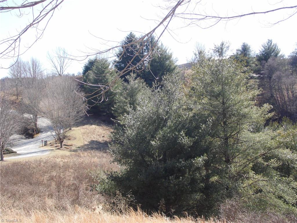 32 Mountain Ridge Road Piney Creek, NC 28663 - Photo 15 of 16 Gallery Image 15