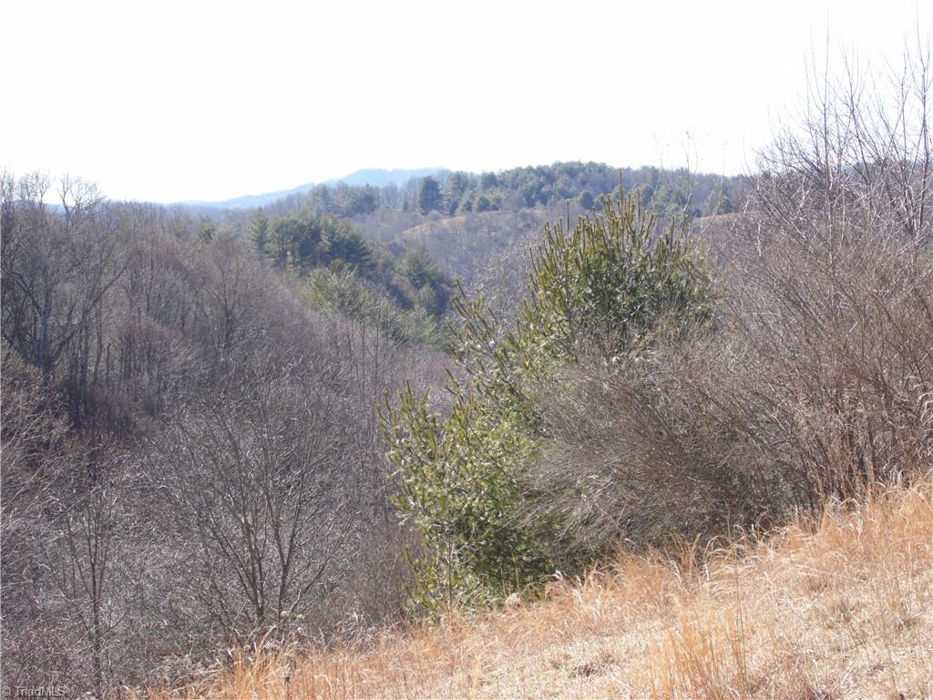 32 Mountain Ridge Road Piney Creek, NC 28663 - Photo 3 of 16 Gallery Image 3