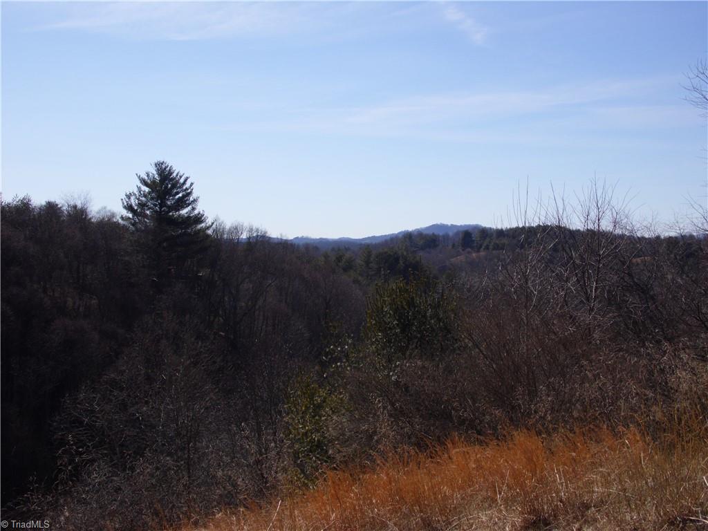 32 Mountain Ridge Road Piney Creek, NC 28663 - Photo 4 of 16 Gallery Image 4