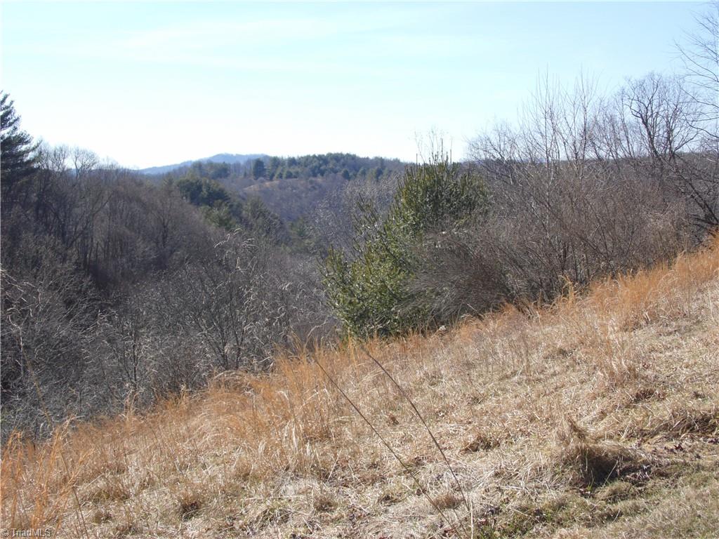 32 Mountain Ridge Road Piney Creek, NC 28663 - Photo 10 of 16 Gallery Image 10