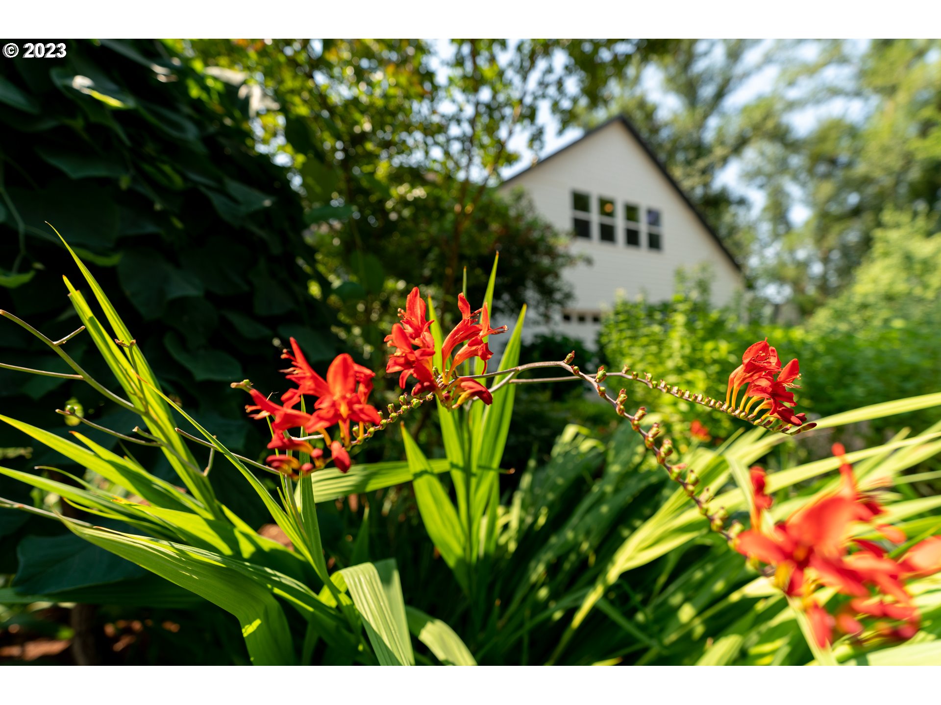 2080 Chemawa Road North Keizer, OR 97303 - Photo 44 of 48 Gallery Image 44
