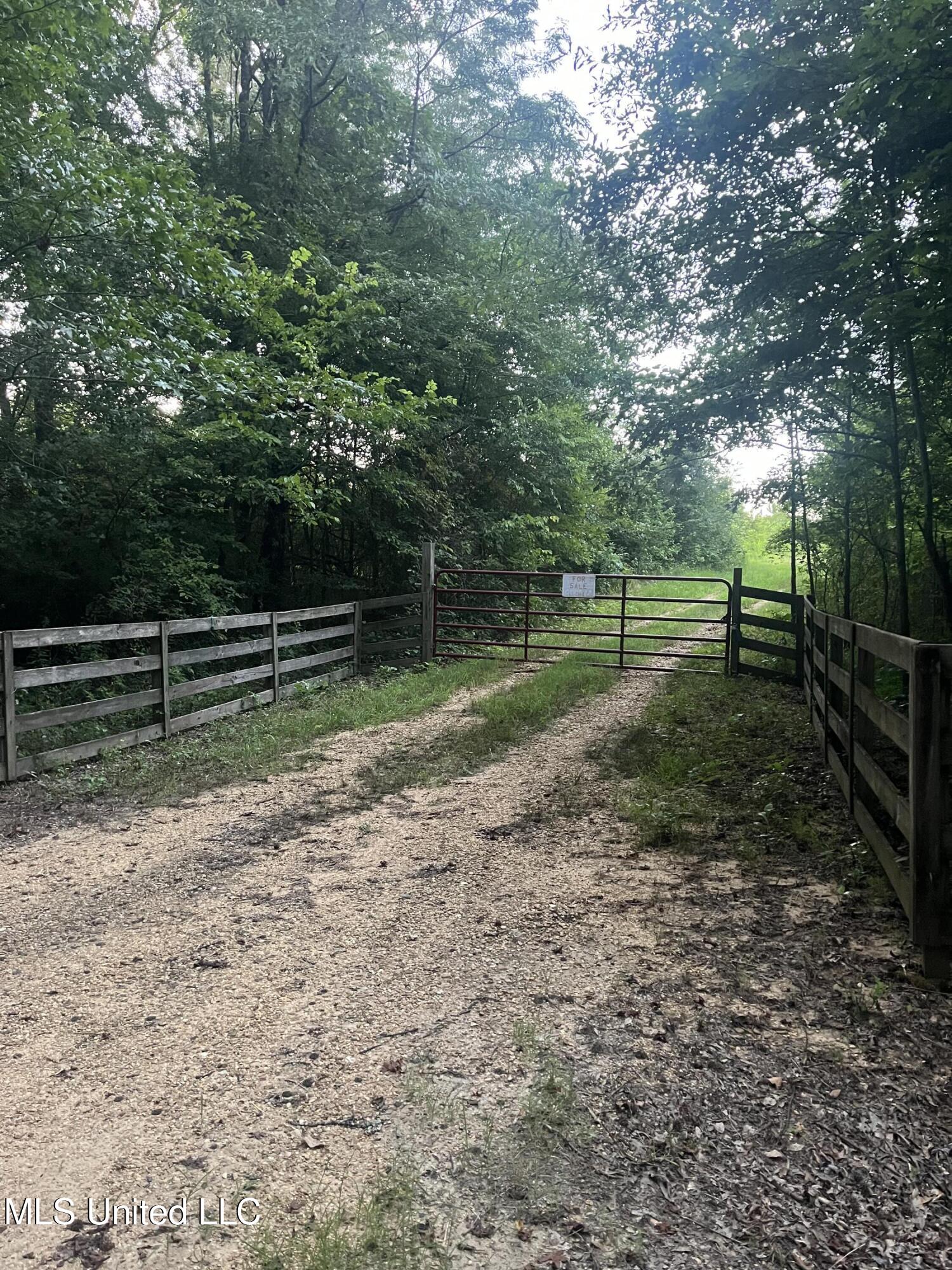 207 Wallace Drive Coldwater, MS 38618 - Photo 2 of 6 IMG_2239