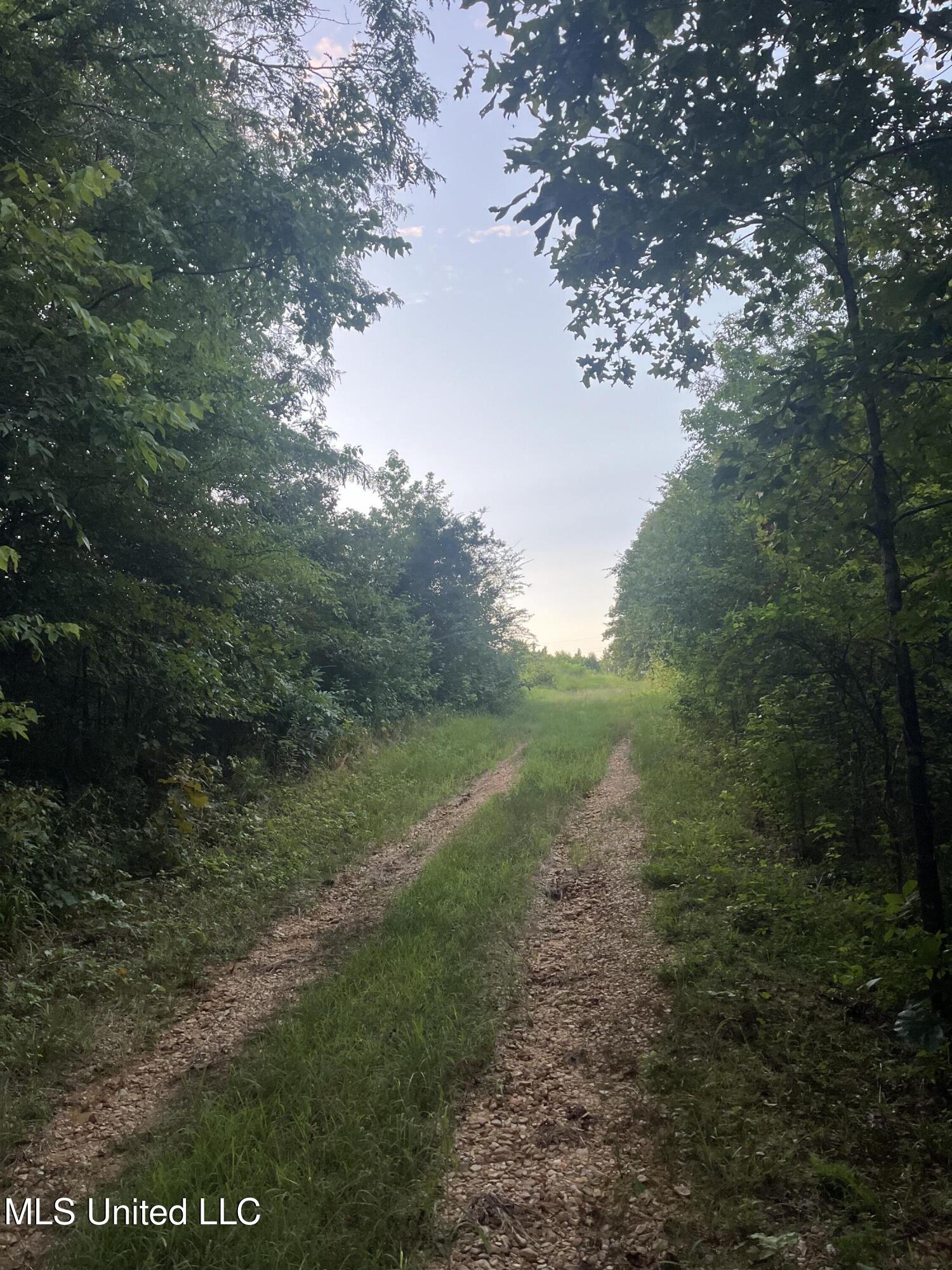 207 Wallace Drive Coldwater, MS 38618 - Photo 3 of 6 IMG_2237