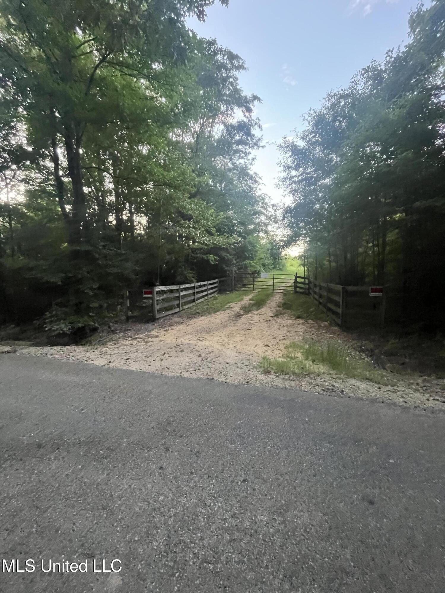 207 Wallace Drive Coldwater, MS 38618 - Photo 4 of 6 IMG_2240
