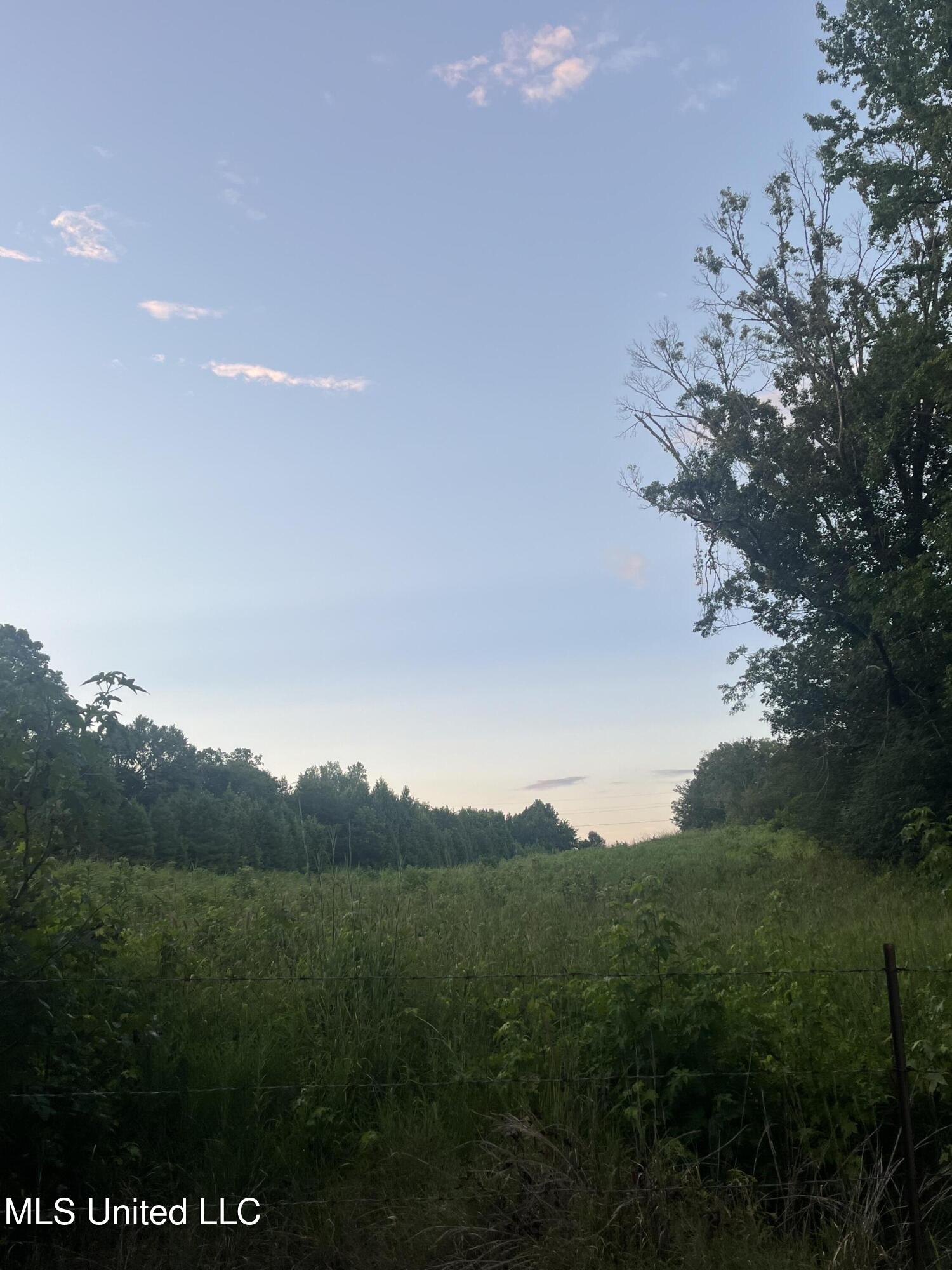 207 Wallace Drive Coldwater, MS 38618 - Photo 5 of 6 IMG_2241