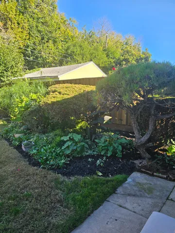 a view of a yard with a tree