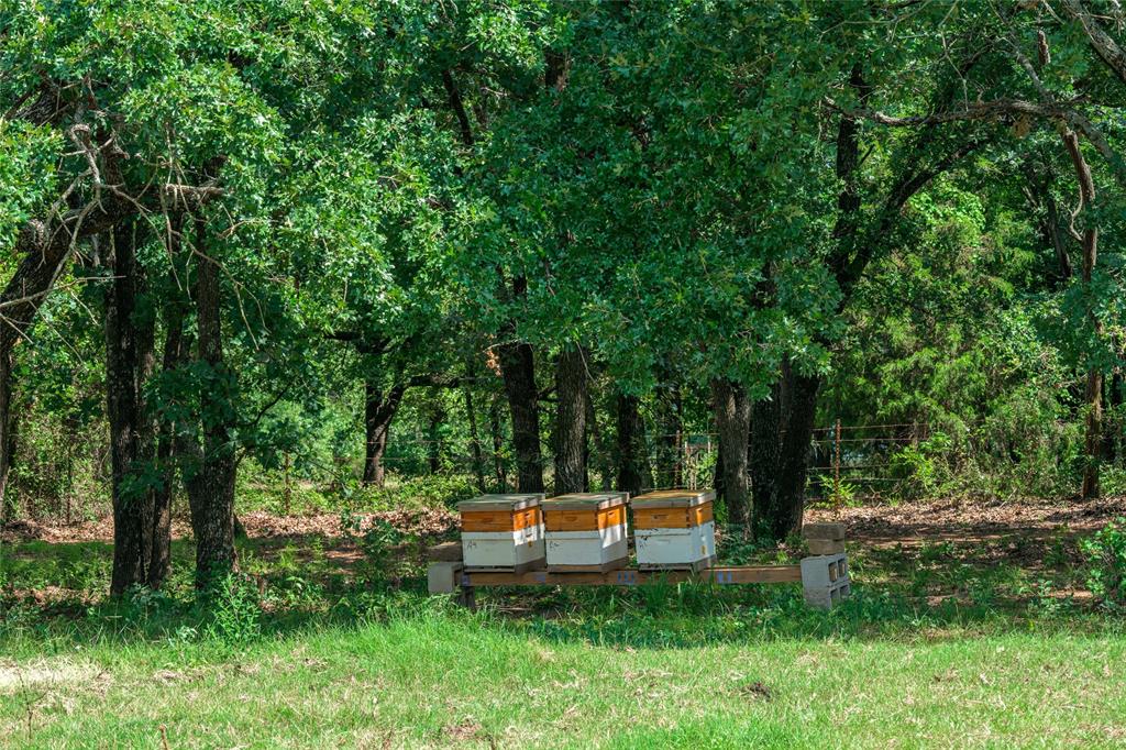 1111 Riley Road Whitesboro, TX 76273 - Photo 27 of 34 Bee Hives