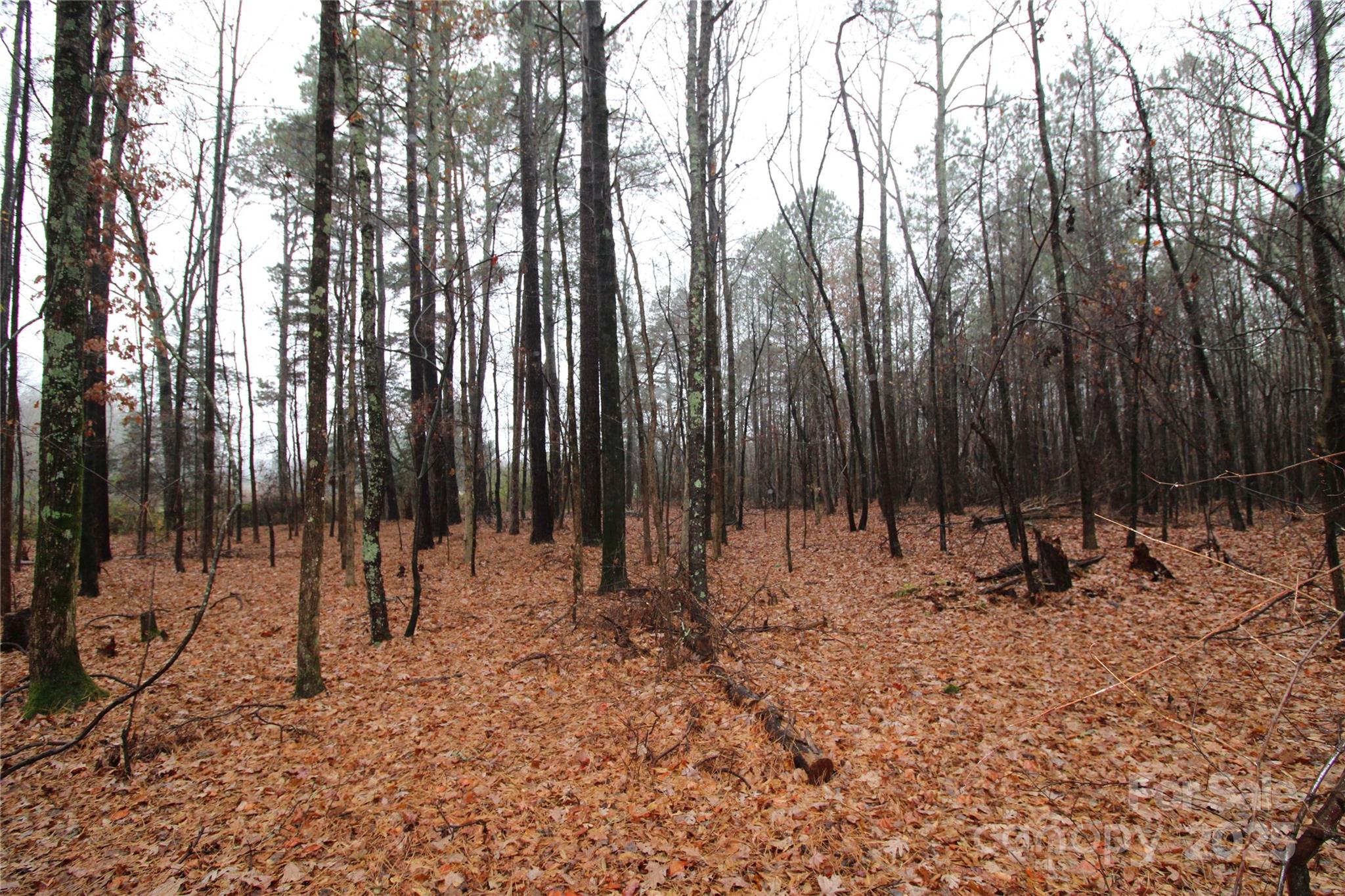 4.78-ac Neal Road, Unit LOT 5 Bessemer City, NC 28016 - Photo 3 of 6