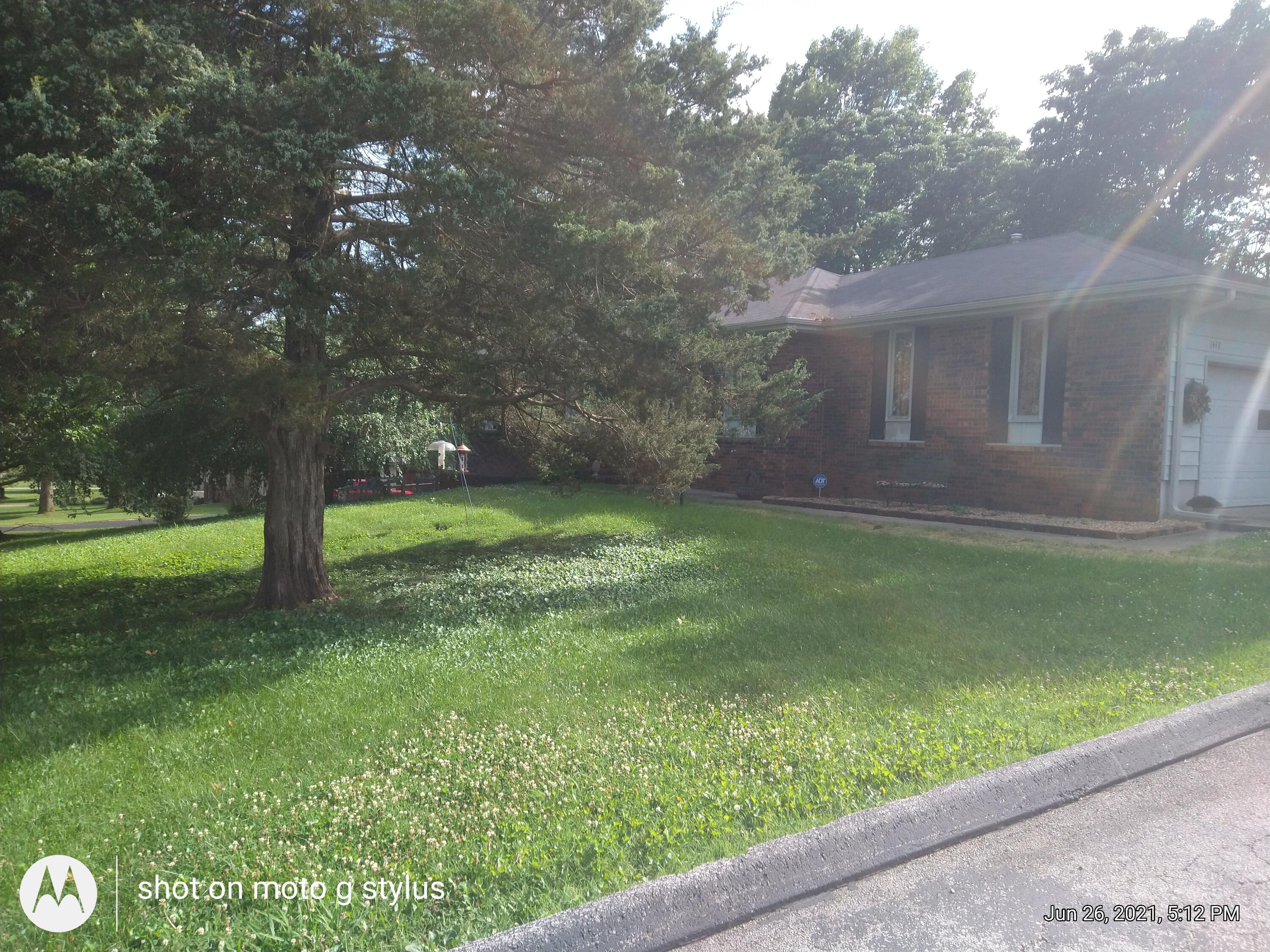 1449 Jameston Springfield, MO 65809 - Photo 1 of 1 FrontJameston