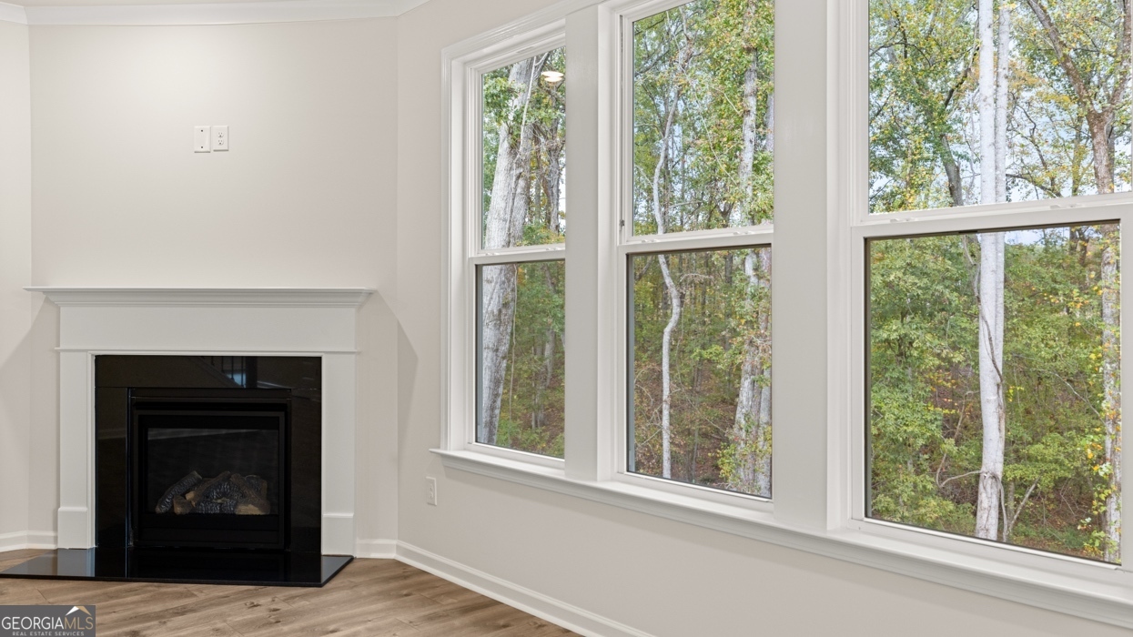 1816 Quaker Street Hampton, GA 30228 - Photo 12 of 32 a view of a livingroom with a fireplace and window