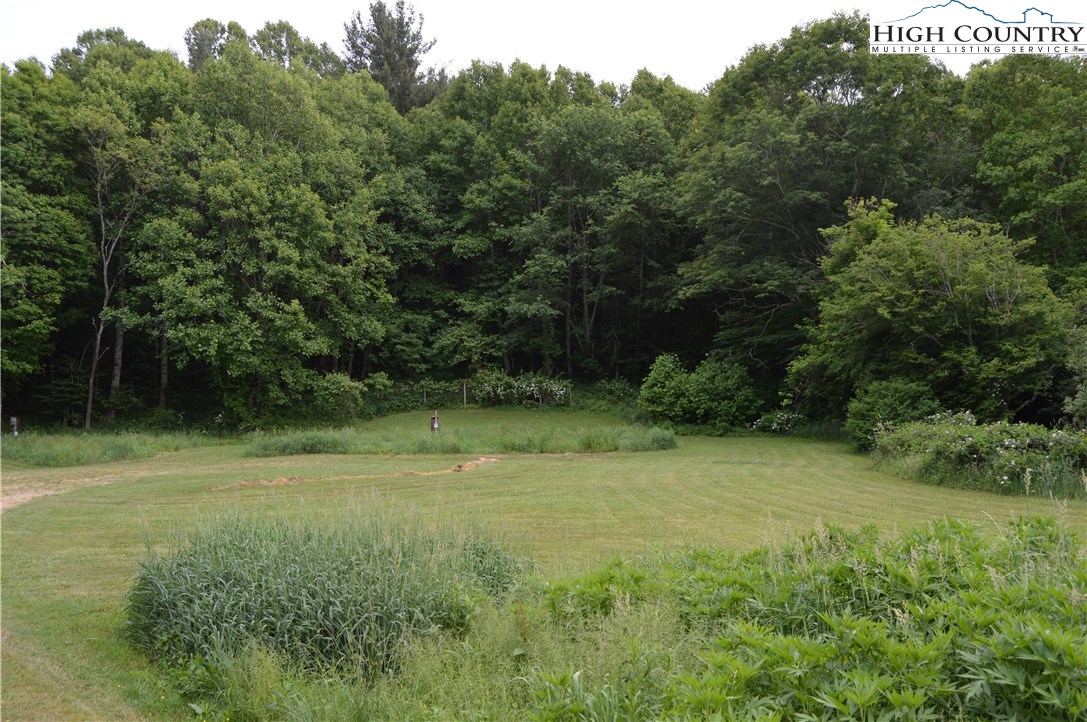 115 Burkett Road Boone, NC 28607 - Photo 11 of 48 Gallery Image 11