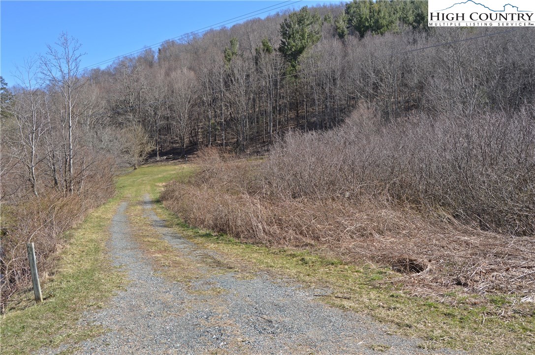 115 Burkett Road Boone, NC 28607 - Photo 39 of 48 Gallery Image 39