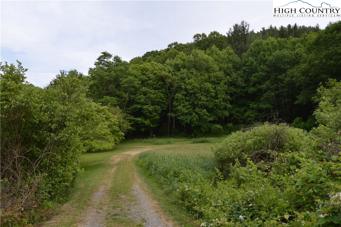115 Burkett Road Boone, NC 28607 - Photo 9 of 48 Gallery Image 9