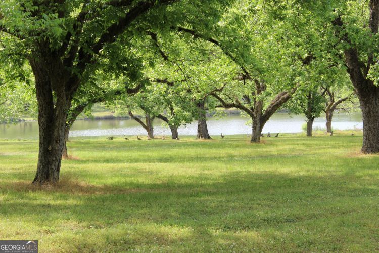 0 Shady Grove Road Hurtsboro, AL 36860 - Photo 11 of 19 a view of field with trees