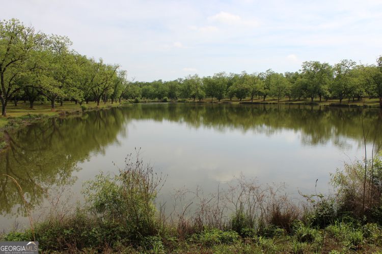 0 Shady Grove Road Hurtsboro, AL 36860 - Photo 13 of 19