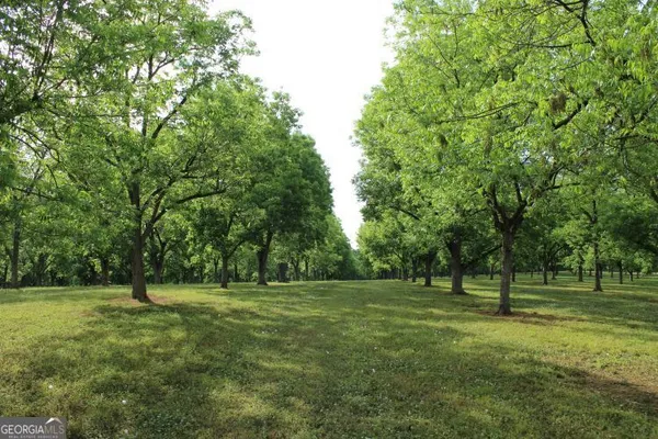 $1,400,000 | 0 Shady Grove Road, Hurtsboro, AL 36860