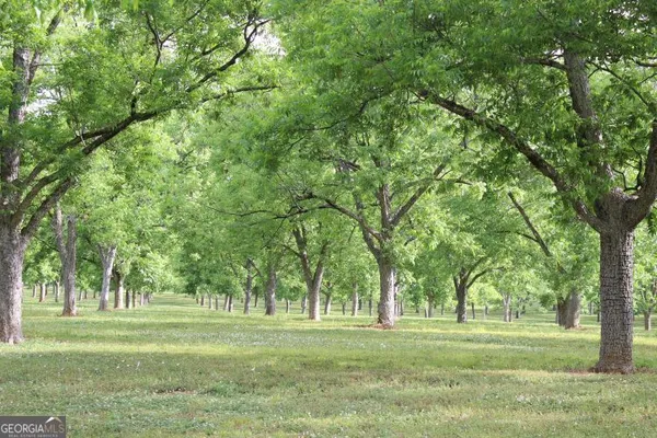 $1,400,000 | 0 Shady Grove Road, Hurtsboro, AL 36860