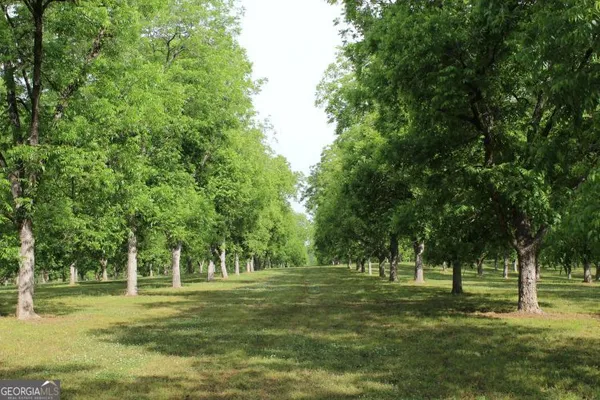 $1,400,000 | 0 Shady Grove Road, Hurtsboro, AL 36860