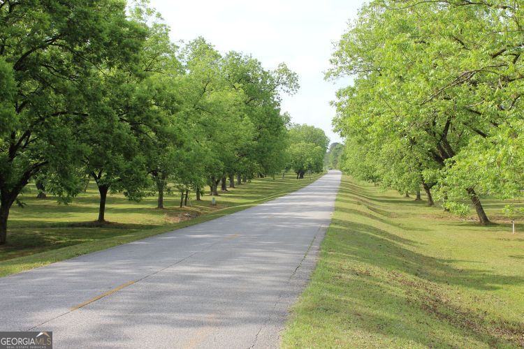 0 Shady Grove Road Hurtsboro, AL 36860 - Photo 8 of 19 a view of a park